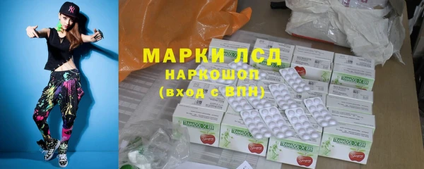 СК Богородск