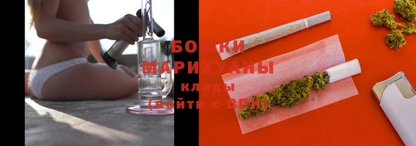 СК Богородск