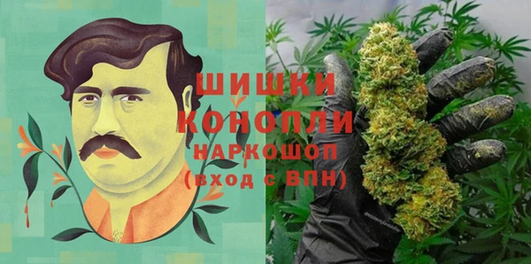 mdpv Богородицк