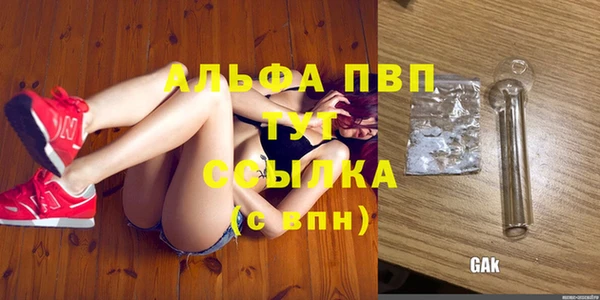 mdpv Богородицк