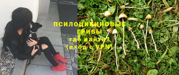mdpv Богородицк