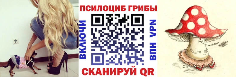 купить наркоту  Очёр  Галлюциногенные грибы мицелий 